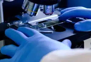 Product Development